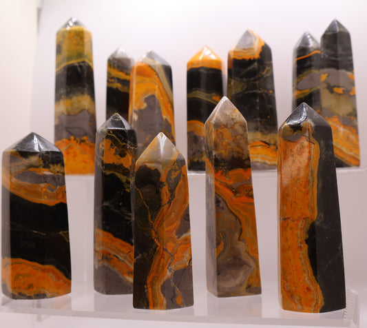 Bumblebee Jasper