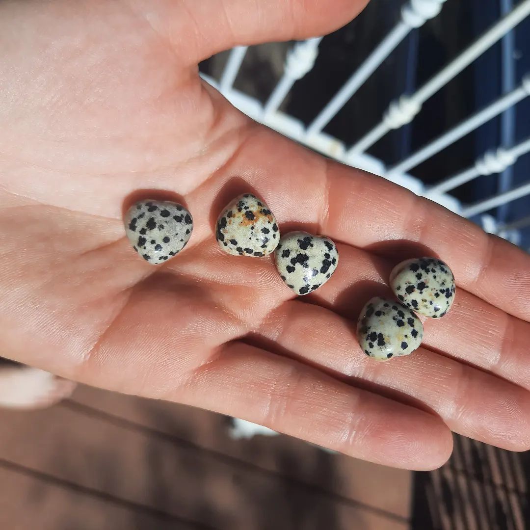 Dalmatian Jasper